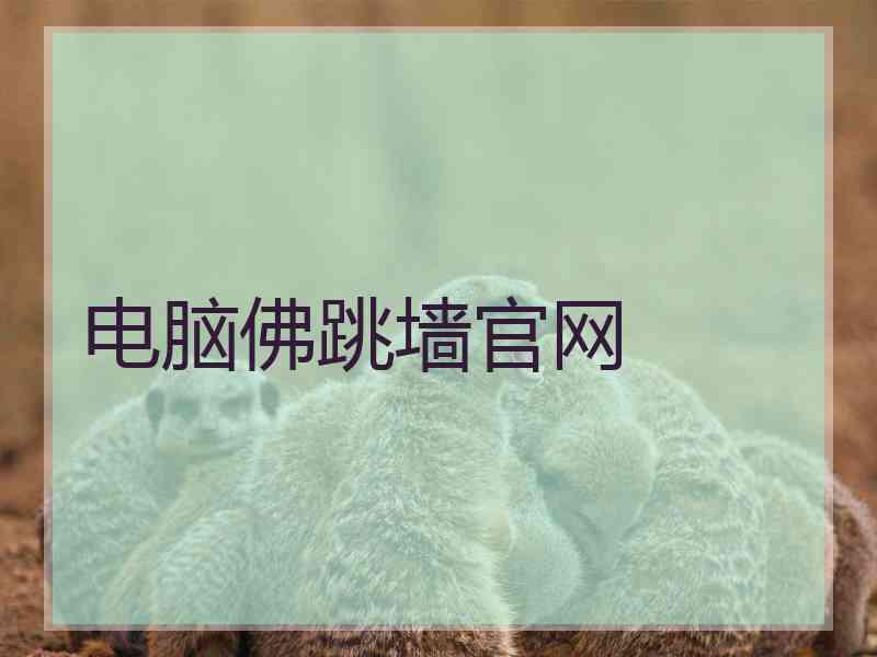 电脑佛跳墙官网