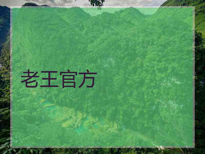 老王官方