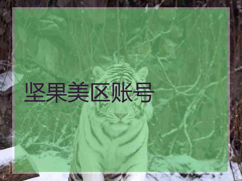 坚果美区账号