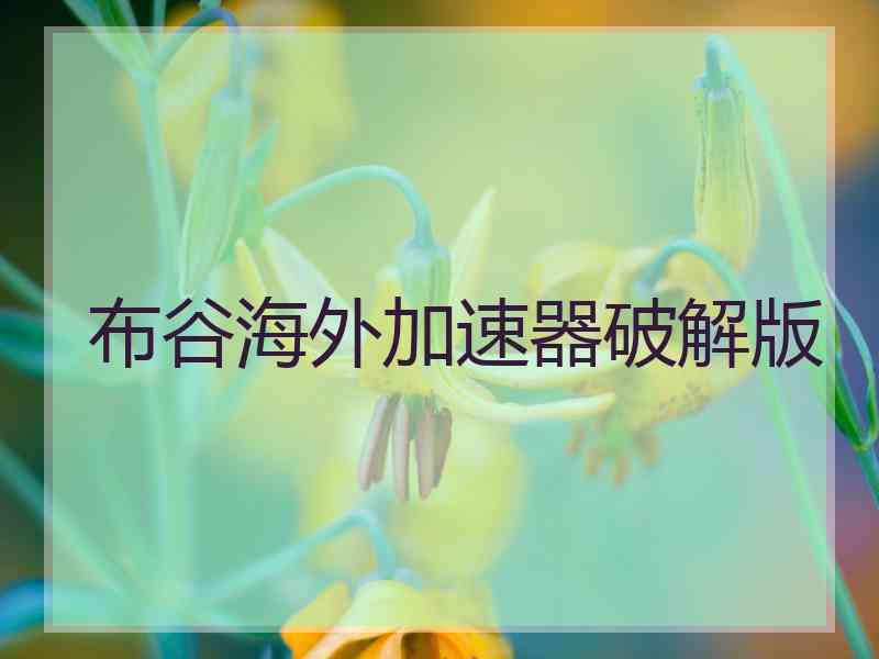 布谷海外加速器破解版