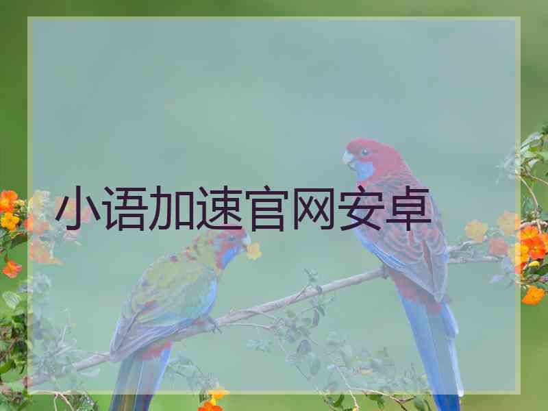 小语加速官网安卓