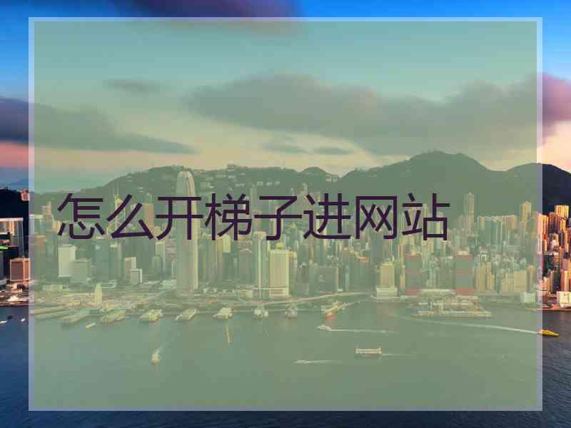 怎么开梯子进网站