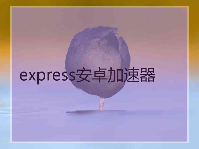 express安卓加速器