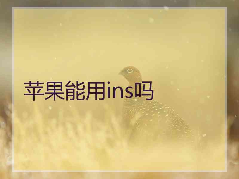苹果能用ins吗