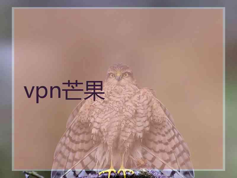 vpn芒果