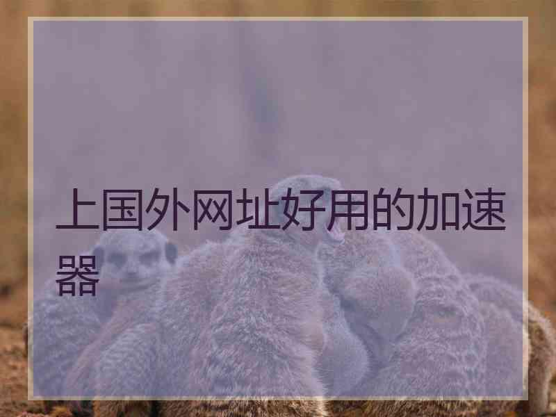 上国外网址好用的加速器