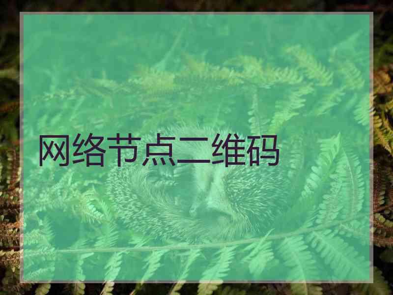 网络节点二维码