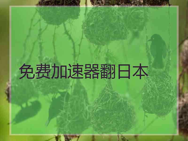 免费加速器翻日本