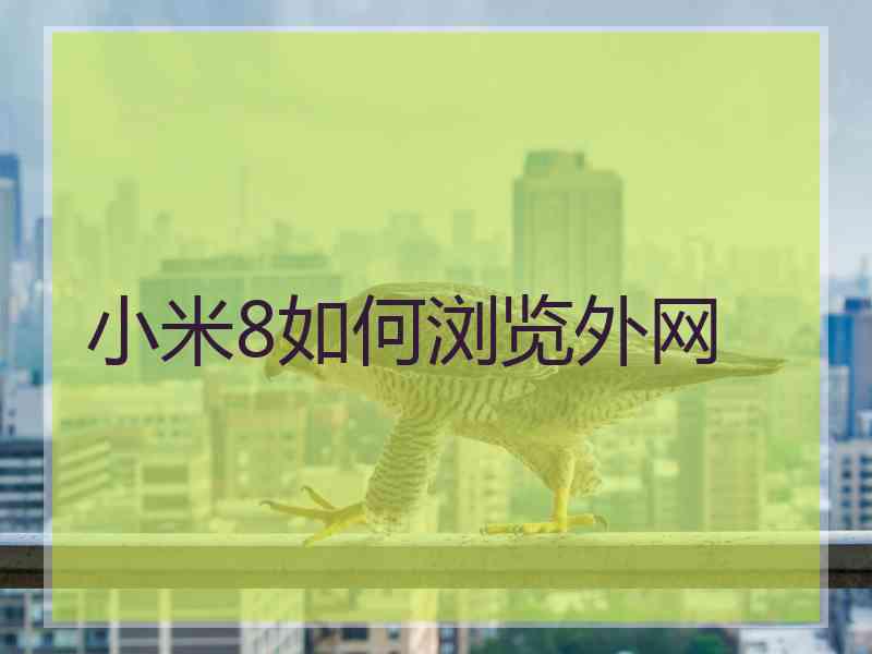 小米8如何浏览外网