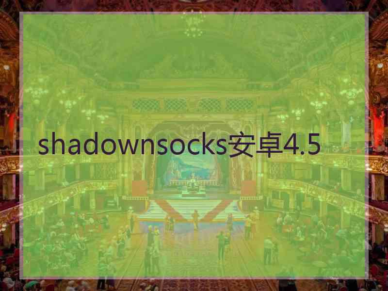 shadownsocks安卓4.5
