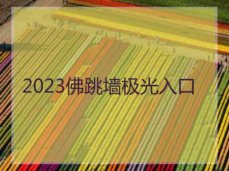 2023佛跳墙极光入口