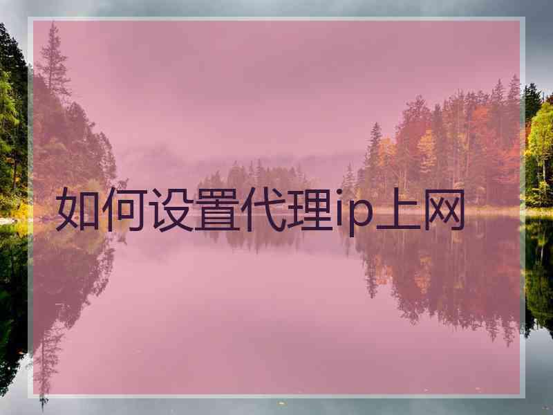 如何设置代理ip上网