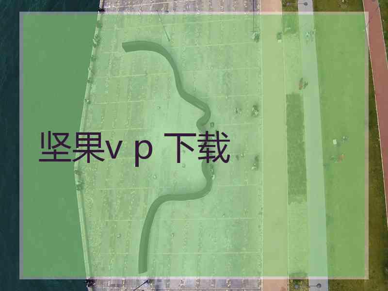 坚果v p 下载