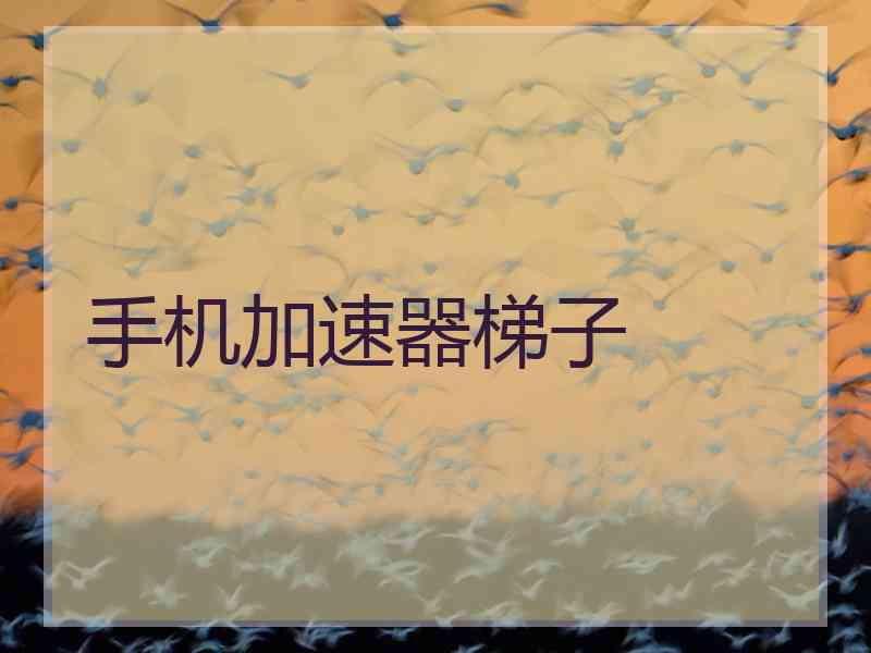 手机加速器梯子