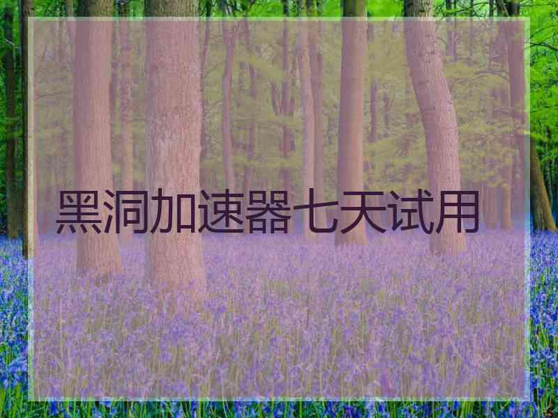 黑洞加速器七天试用