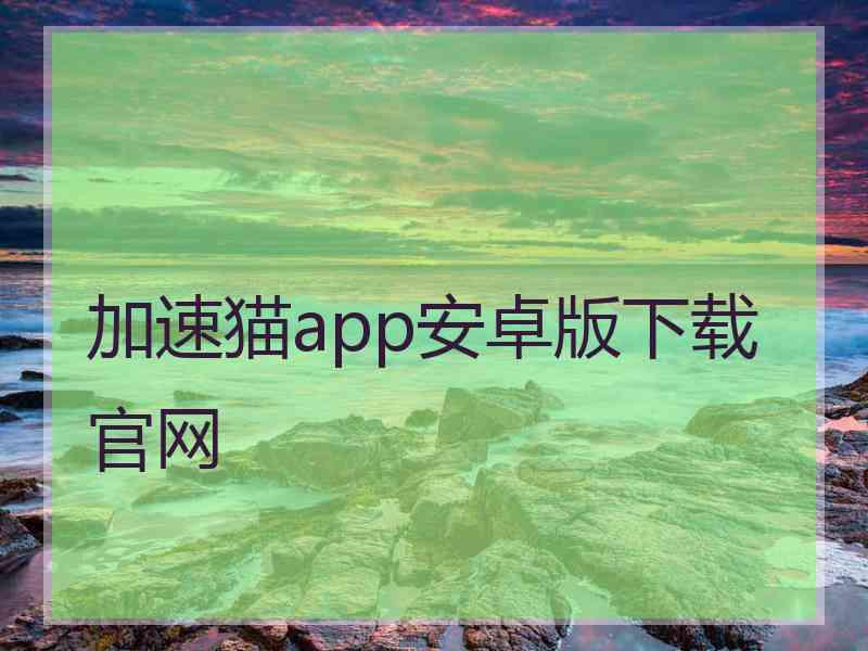 加速猫app安卓版下载官网