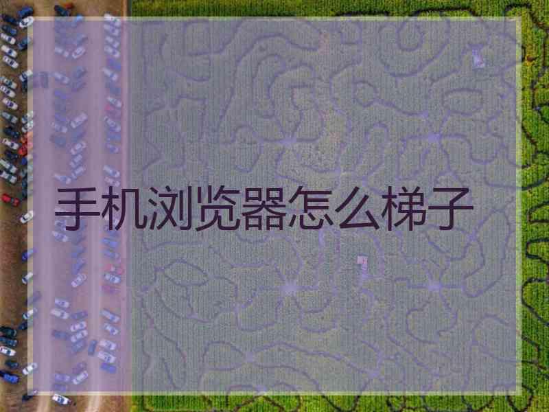 手机浏览器怎么梯子