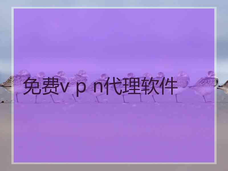 免费v p n代理软件