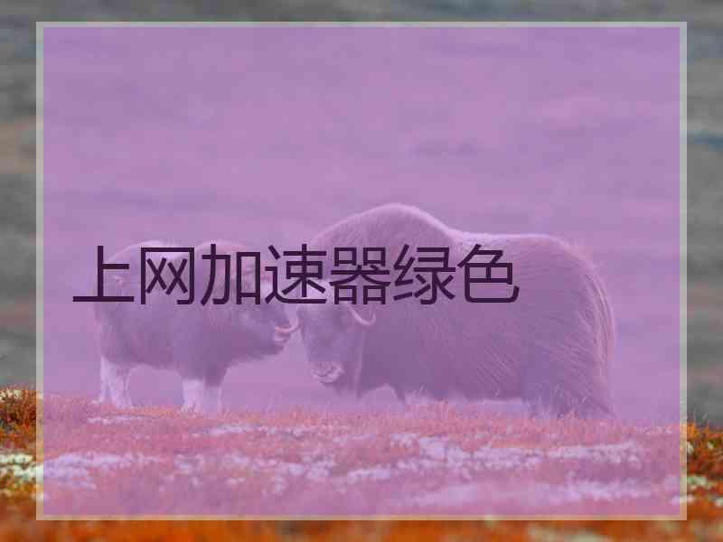 上网加速器绿色