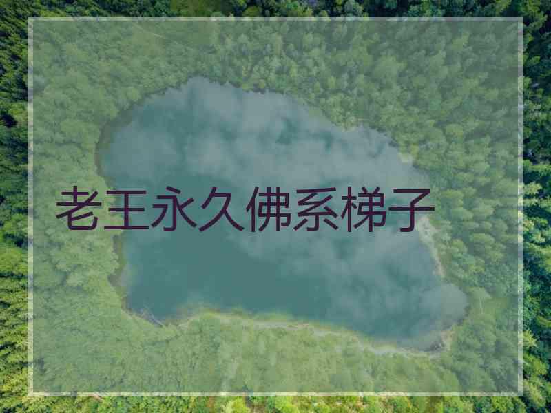 老王永久佛系梯子