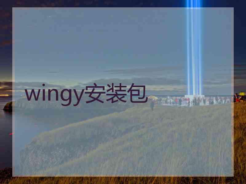 wingy安装包