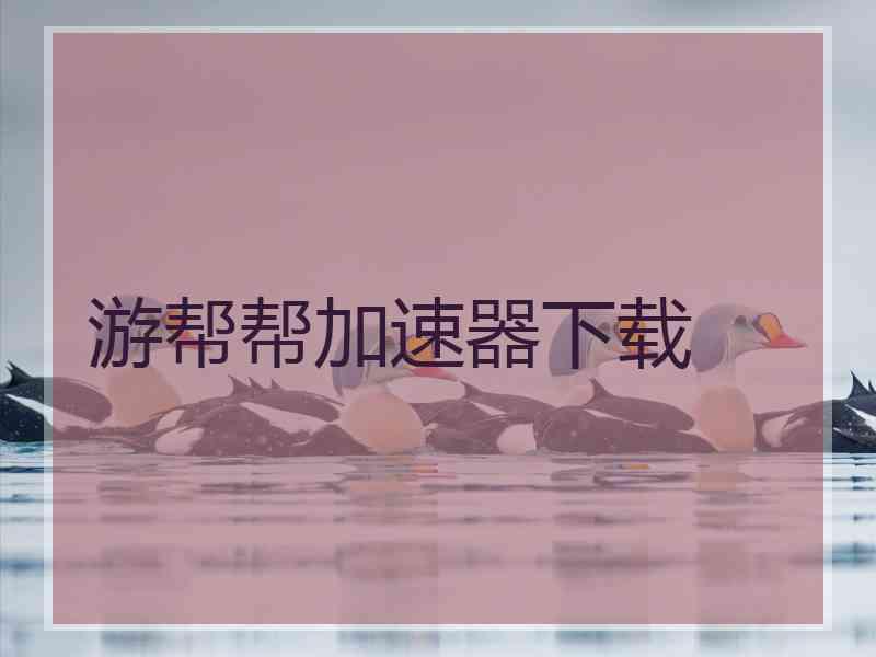 游帮帮加速器下载