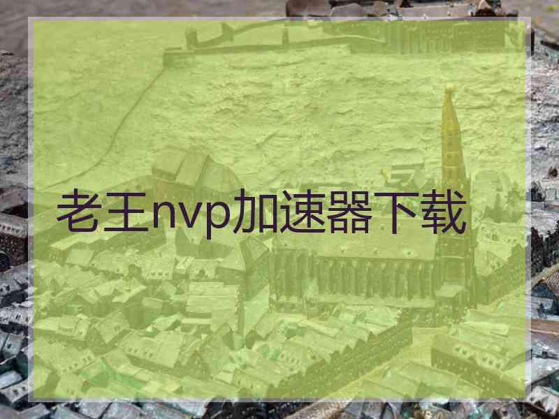老王nvp加速器下载