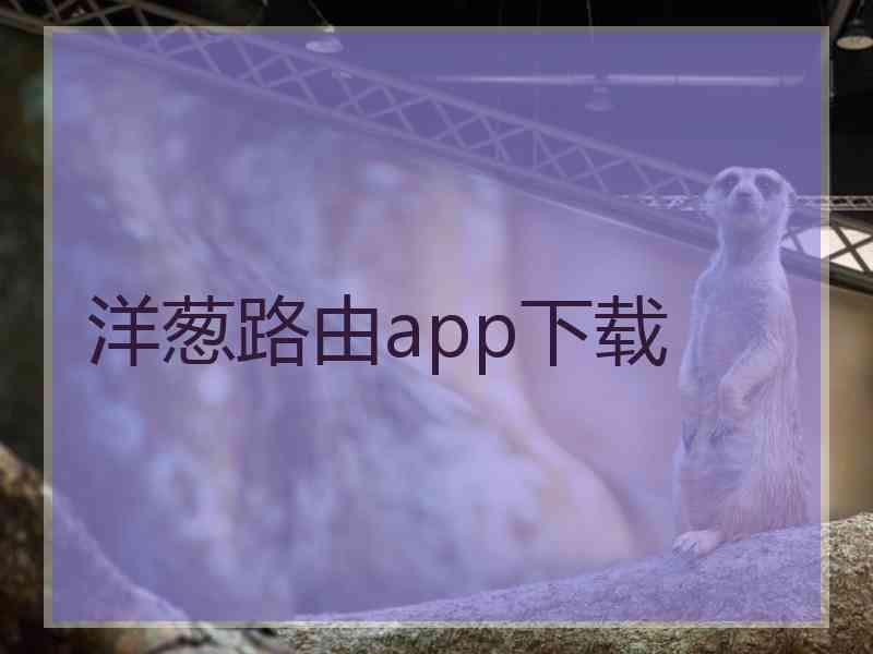 洋葱路由app下载