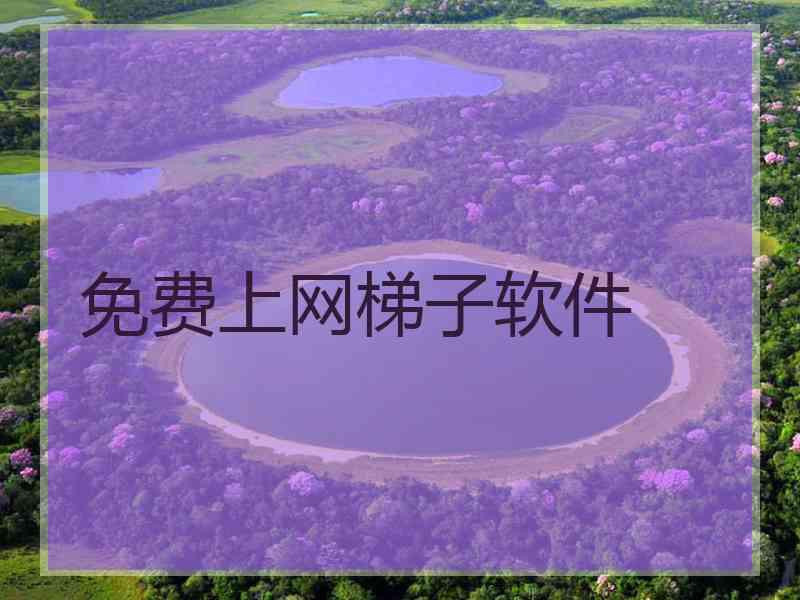 免费上网梯子软件