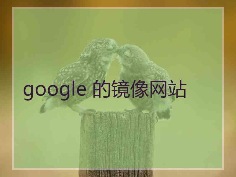 google 的镜像网站