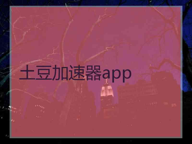 土豆加速器app