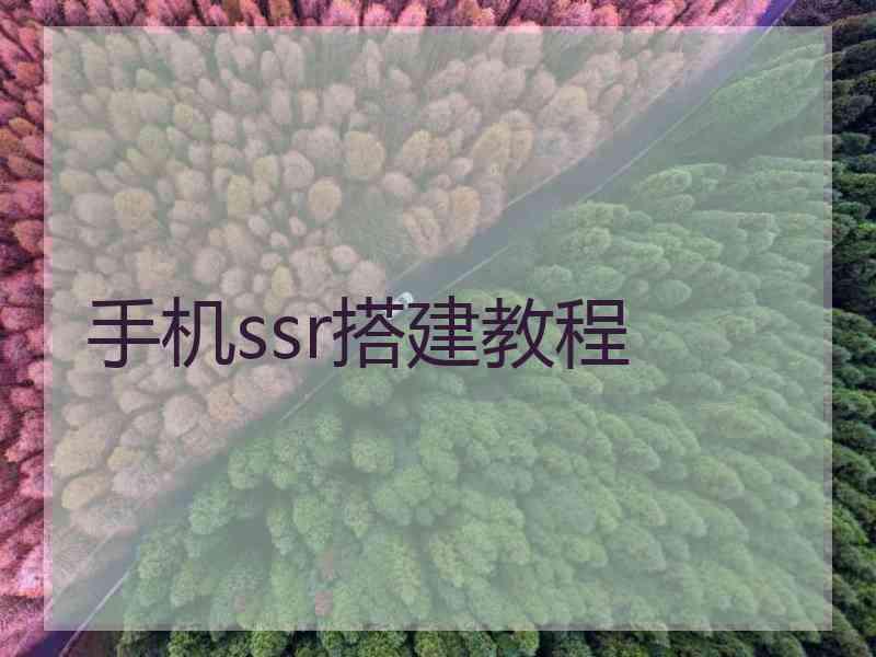 手机ssr搭建教程