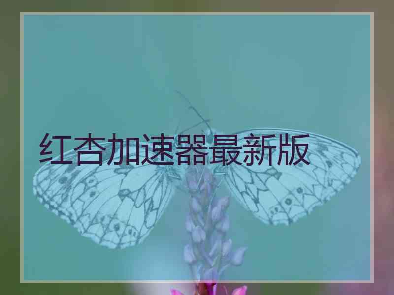 红杏加速器最新版