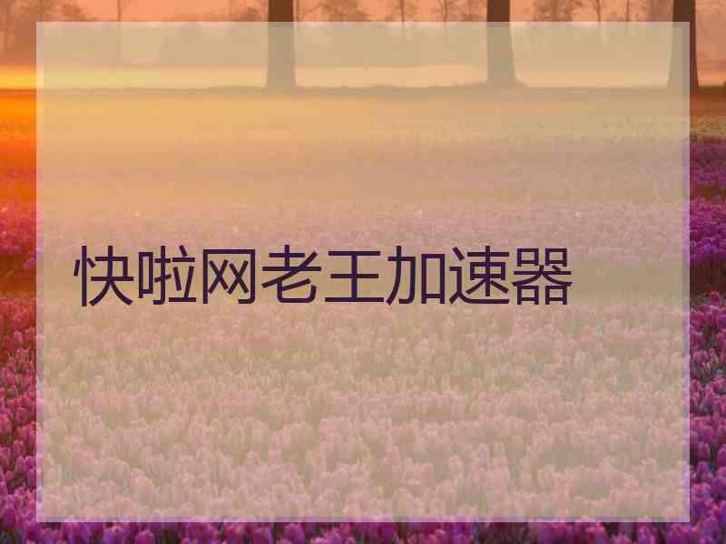快啦网老王加速器