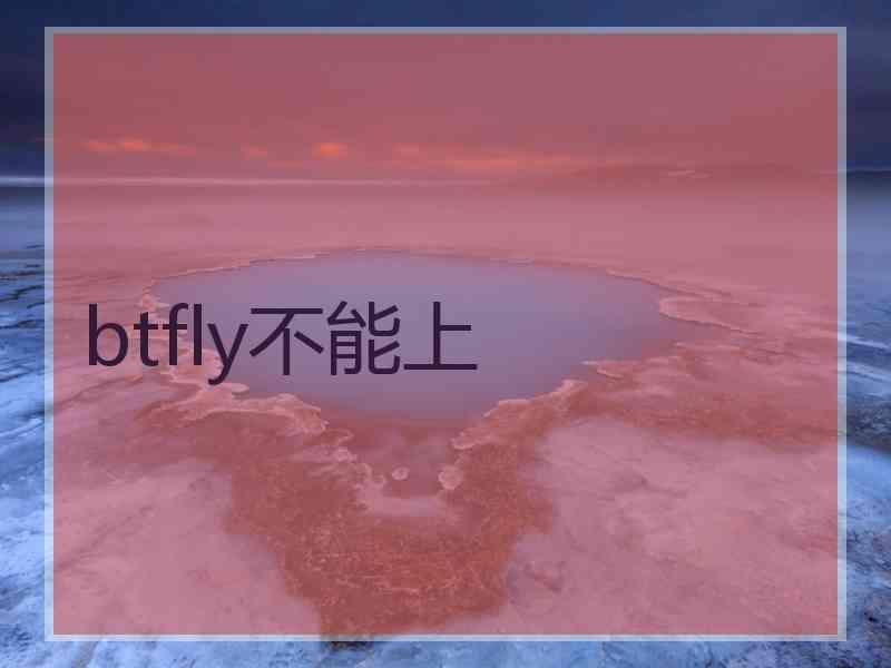 btfly不能上