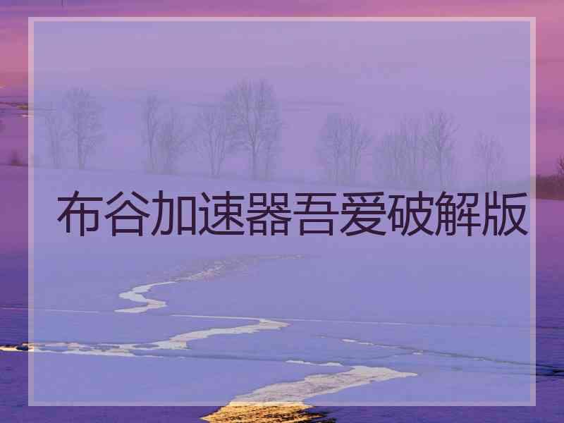 布谷加速器吾爱破解版
