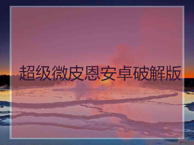 超级微皮恩安卓破解版