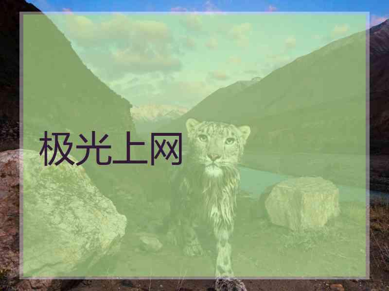 极光上网