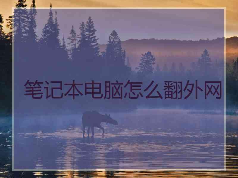 笔记本电脑怎么翻外网