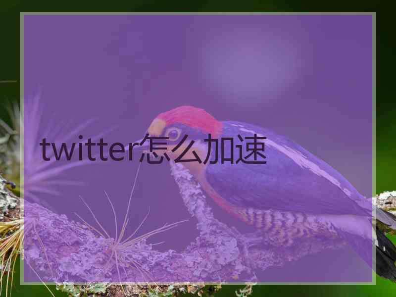 twitter怎么加速