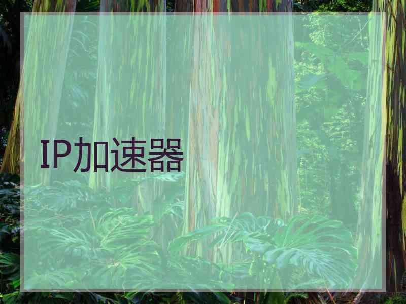 IP加速器