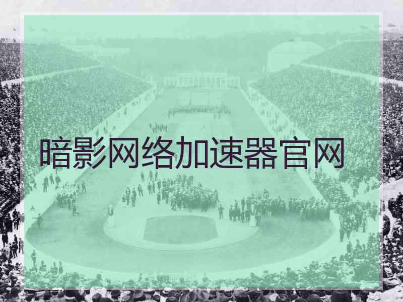 暗影网络加速器官网