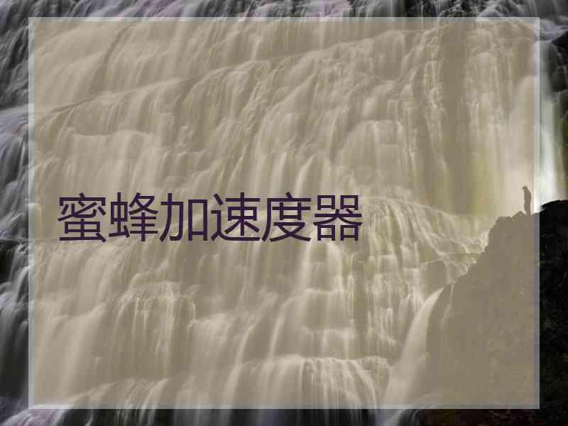 蜜蜂加速度器