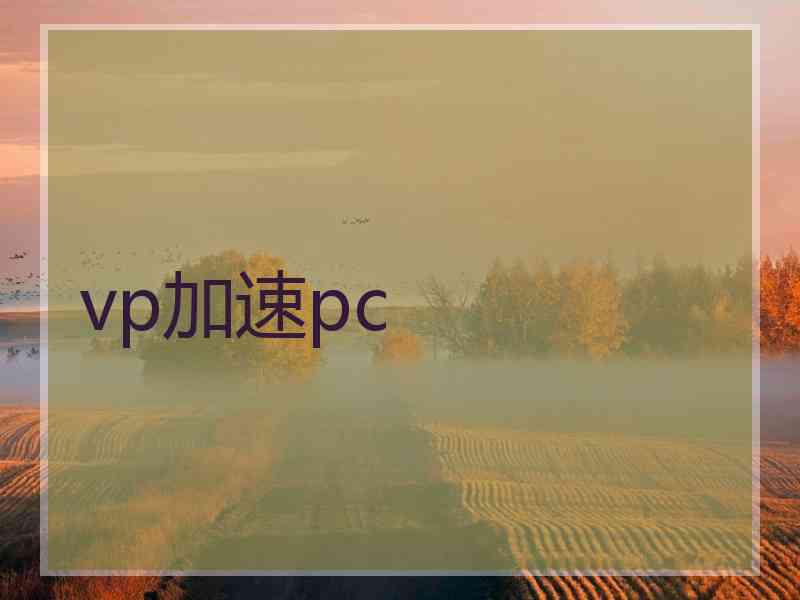 vp加速pc