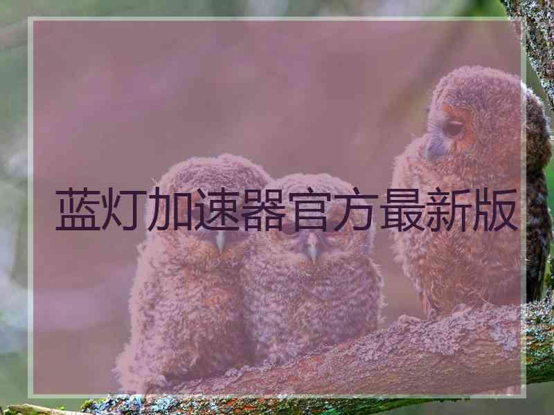 蓝灯加速器官方最新版