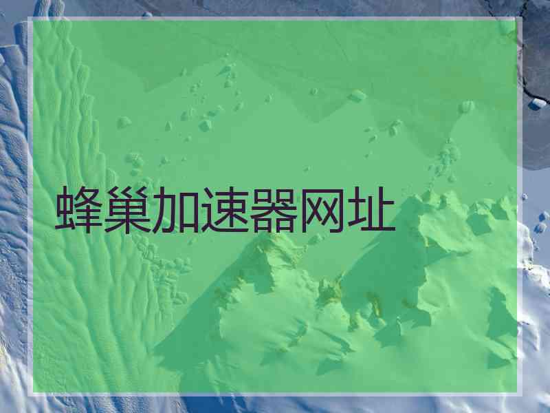 蜂巢加速器网址