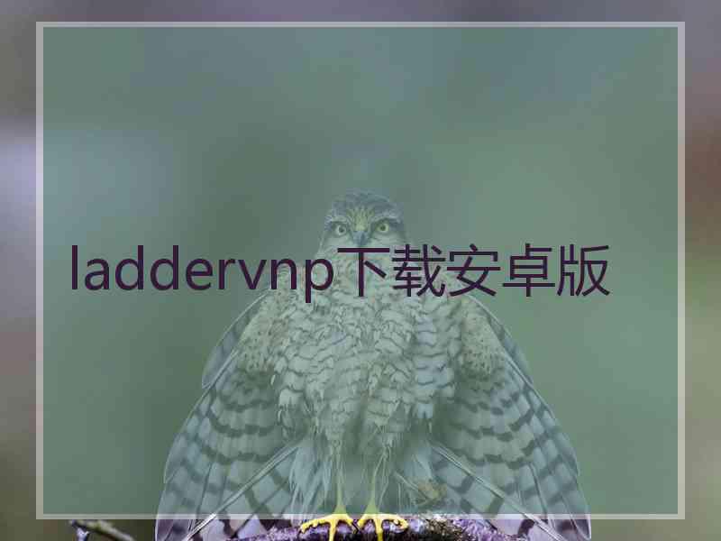 laddervnp下载安卓版