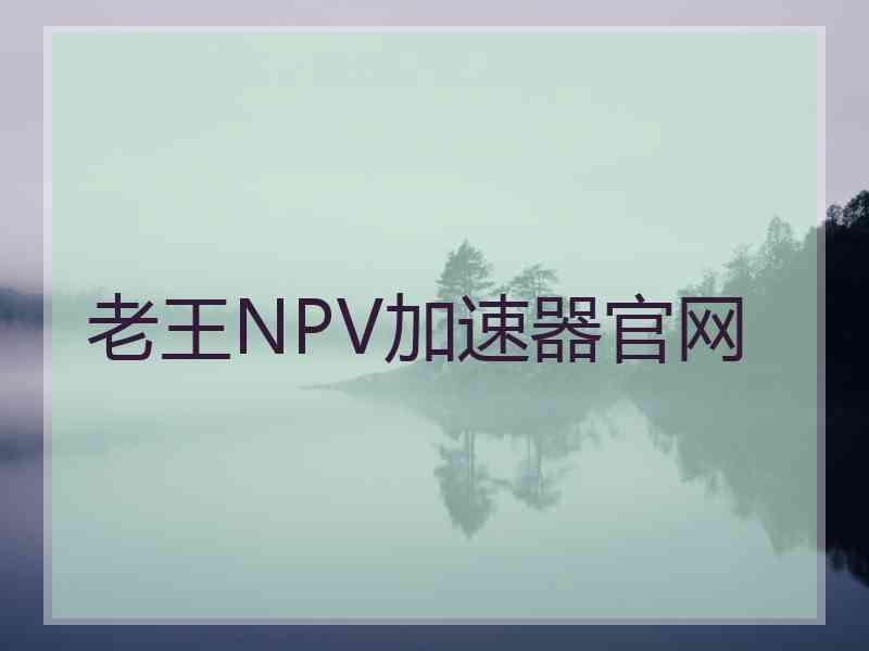 老王NPV加速器官网