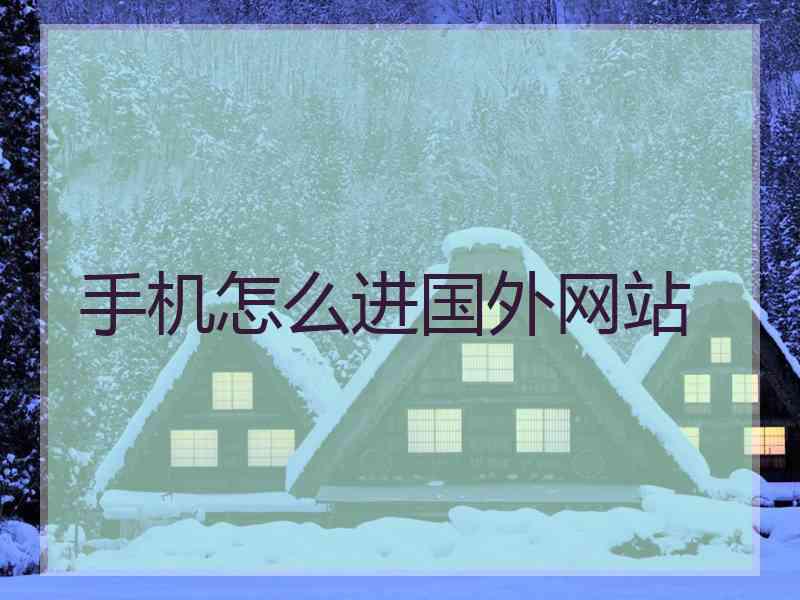 手机怎么进国外网站
