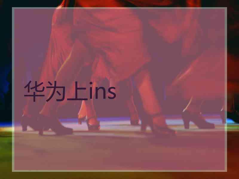华为上ins